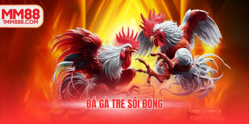 Đá gà tre sôi động