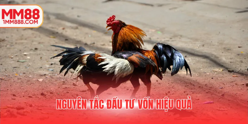 Nguyên tắc đầu tư vốn hiệu quả